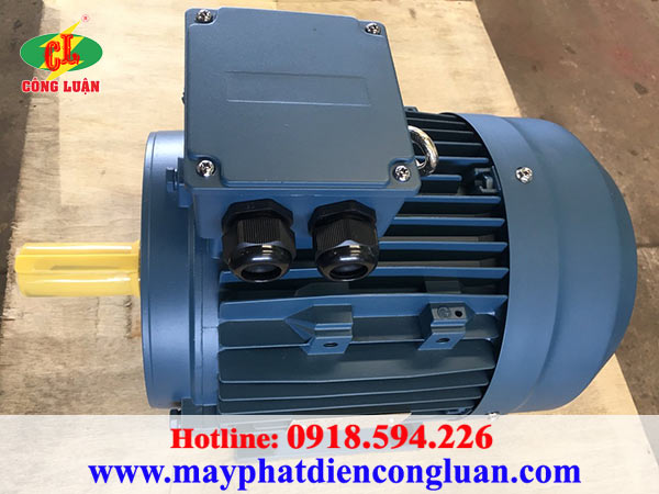 Motor điện 3 pha QM