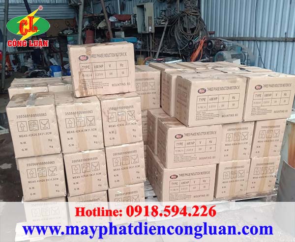 Motor điện 3 pha QM