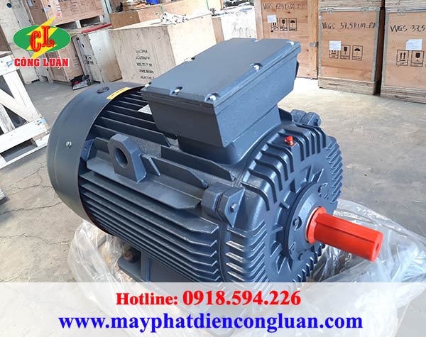 Motor - động cơ điện QM B3