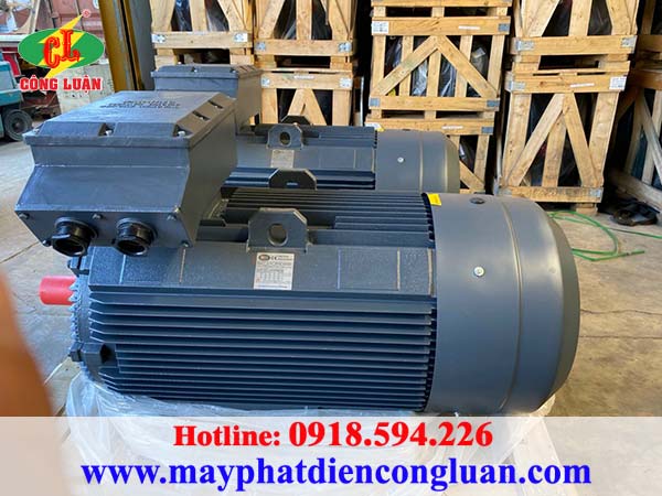 Motor điện - động cơ điện QM 220kw 3 pha chân đế