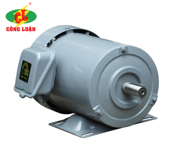 động cơ điện 3 pha Mitsubishi động cơ điện 3 pha Mitsubishi