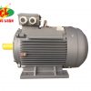 động cơ điện 3 pha qm