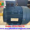 Motor điện 3 pha QM