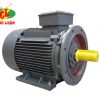 motor điện 3 pha qm