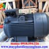 Motor điện 3 pha QM 75kw