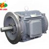 motor điện mitsubishi công luận