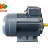 motor điện qm 3 pha B3